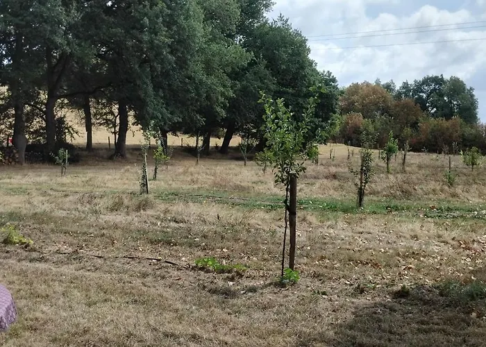 Camping Le Camping-car De La Gardié
